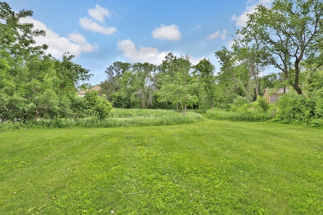 6033 Sargent Ct N, Lino Lakes, MN 55110 - view of grassy yard