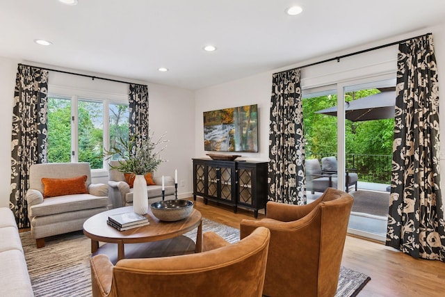 3930 Cottage Ln, Minnetonka, MN 55305 - living room featuring wood finished floors and recessed lighting