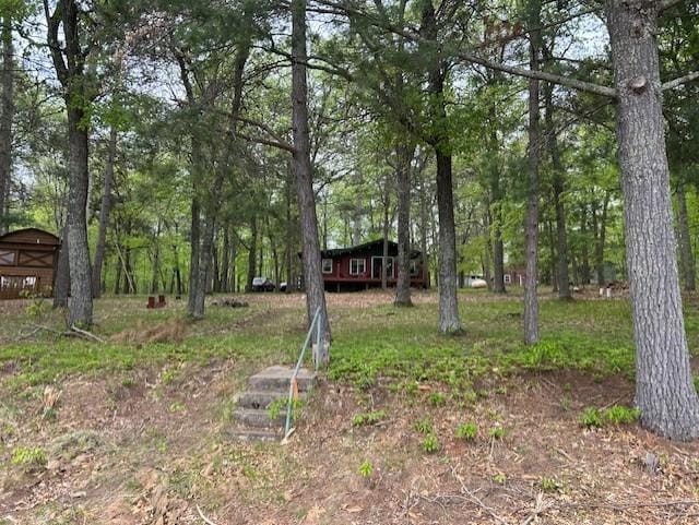 N11464 Fremont Ave, Chicog Twp, WI 54888 - view of yard
