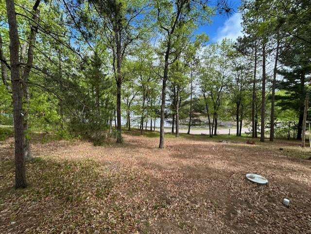 N11464 Fremont Ave, Chicog Twp, WI 54888 - view of nature