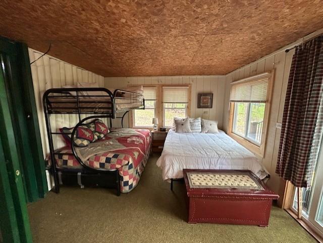 N11464 Fremont Ave, Chicog Twp, WI 54888 - bedroom featuring carpet, multiple windows, and wooden walls