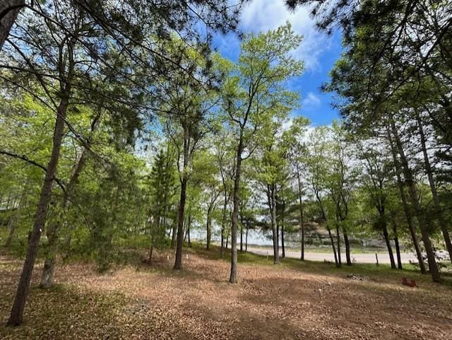 N11464 Fremont Ave, Chicog Twp, WI 54888 - view of undeveloped land
