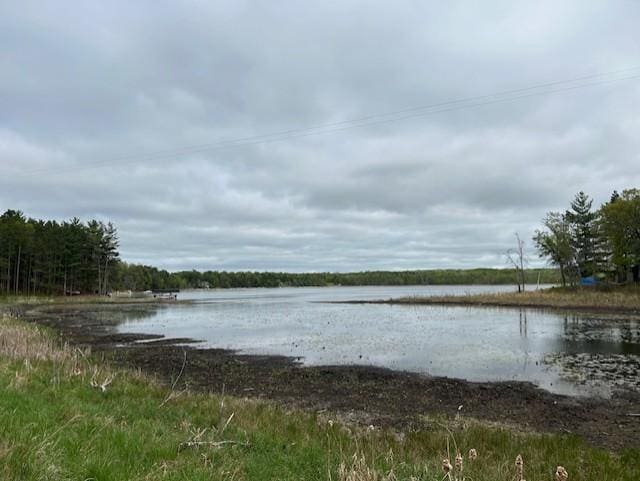 N11464 Fremont Ave, Chicog Twp, WI 54888 - water view