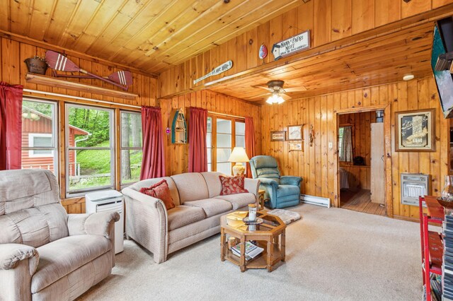 9935 Norton Ave NW, Annandale, MN 55302 - photo 5