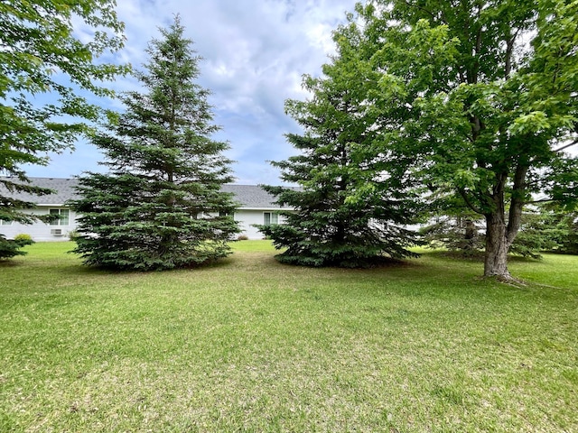 727 Cloud St NW, Bemidji, MN 56601 - view of green lawn