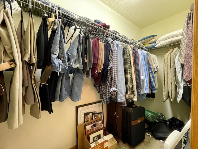 727 Cloud St NW, Bemidji, MN 56601 - view of spacious closet