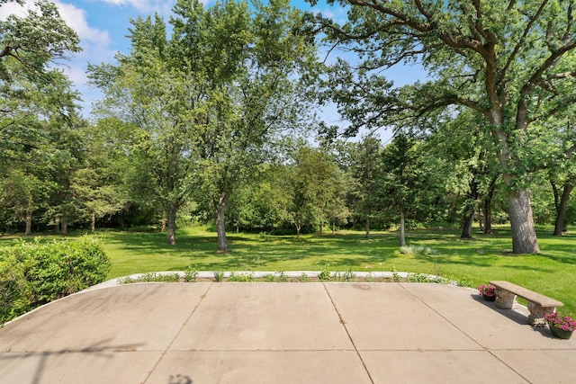 17855 Round Lake Blvd NW, Andover, MN 55304 - view of patio with view of scattered trees