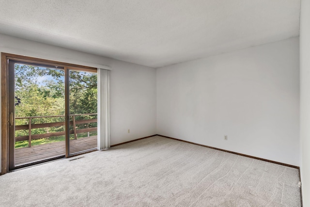 17855 Round Lake Blvd NW, Andover, MN 55304 - empty room featuring light carpet and a textured ceiling