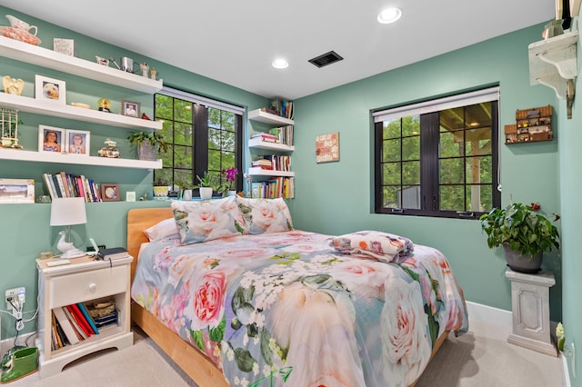 6855 Timber Crest Dr, Maple Grove, MN 55311 - bedroom featuring recessed lighting
