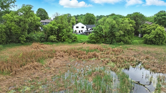 6855 Timber Crest Dr, Maple Grove, MN 55311 - view of yard