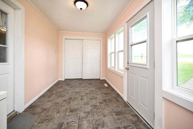 29827 Elfmanns Dr, Wilson Twp, MN 55987 - doorway to outside with stone finish floors, healthy amount of natural light, baseboards, and ornamental molding