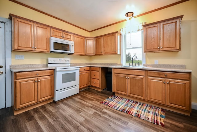 29827 Elfmanns Dr, Wilson Twp, MN 55987 - kitchen with white appliances, a sink, dark wood finished floors, ornamental molding, and light countertops
