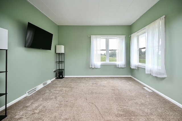29827 Elfmanns Dr, Wilson Twp, MN 55987 - unfurnished living room featuring carpet flooring and baseboards