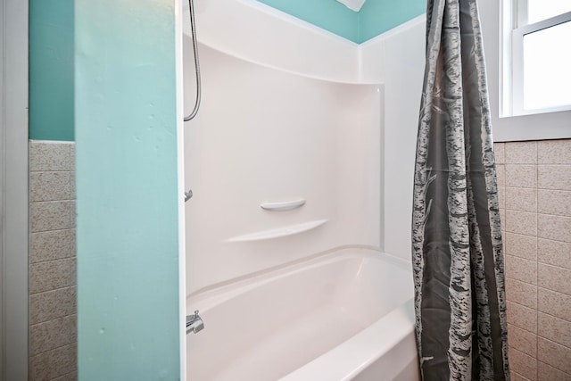 29827 Elfmanns Dr, Wilson Twp, MN 55987 - bathroom featuring shower / tub combo with curtain