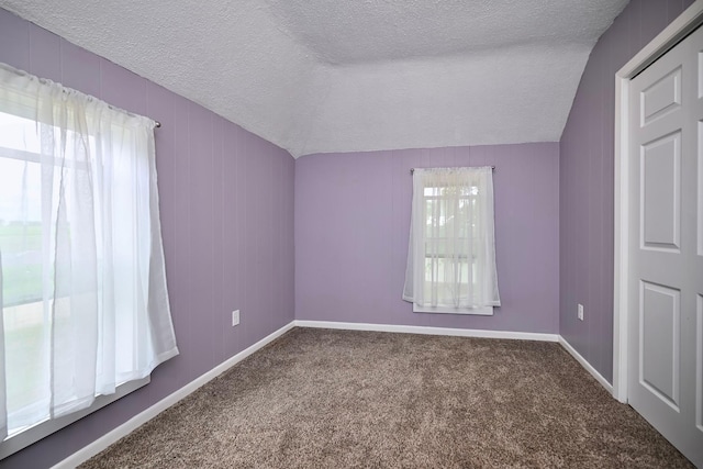 29827 Elfmanns Dr, Wilson Twp, MN 55987 - empty room with a textured ceiling, carpet floors, and baseboards