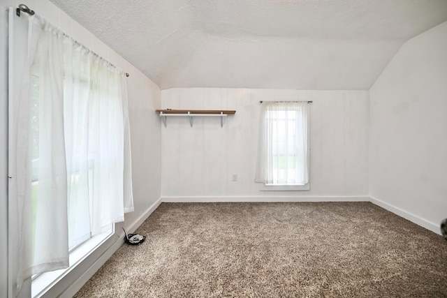 29827 Elfmanns Dr, Wilson Twp, MN 55987 - carpeted spare room featuring lofted ceiling, baseboards, and a textured ceiling