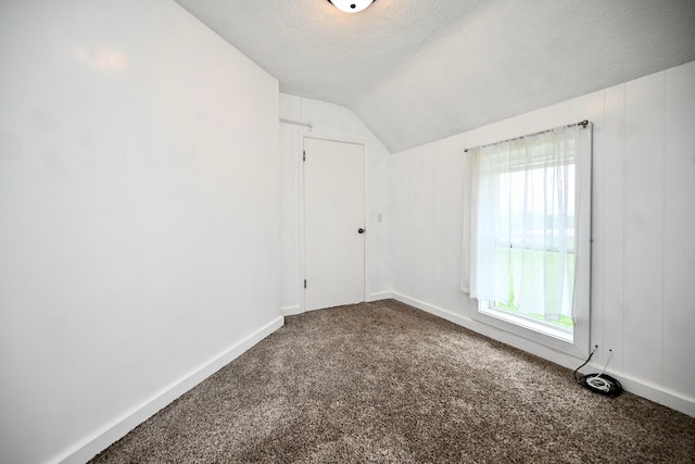 29827 Elfmanns Dr, Wilson Twp, MN 55987 - bonus room with carpet floors, vaulted ceiling, a textured ceiling, and baseboards