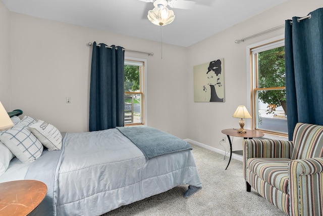 2022 Nokomis Ave, Saint Paul, MN 55119 - bedroom with carpet flooring and multiple windows
