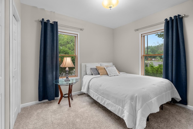 2022 Nokomis Ave, Saint Paul, MN 55119 - carpeted bedroom featuring multiple windows