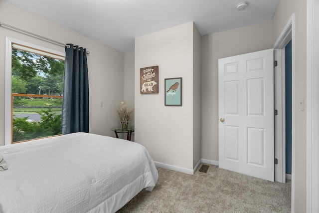 2022 Nokomis Ave, Saint Paul, MN 55119 - carpeted bedroom featuring baseboards