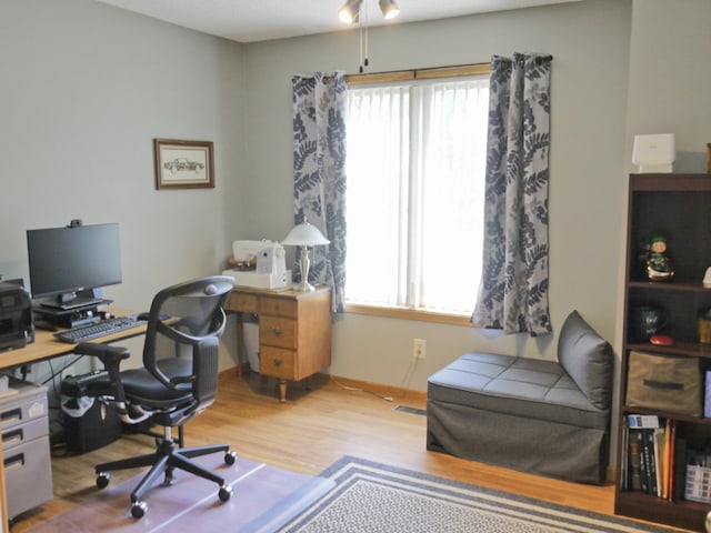 17098 Pheasant Meadow Ln SW, Prior Lake, MN 55372 - home office with wood finished floors and baseboards