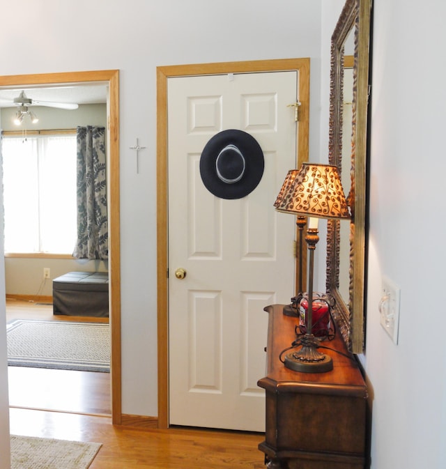 17098 Pheasant Meadow Ln SW, Prior Lake, MN 55372 - hallway with wood finished floors and baseboards