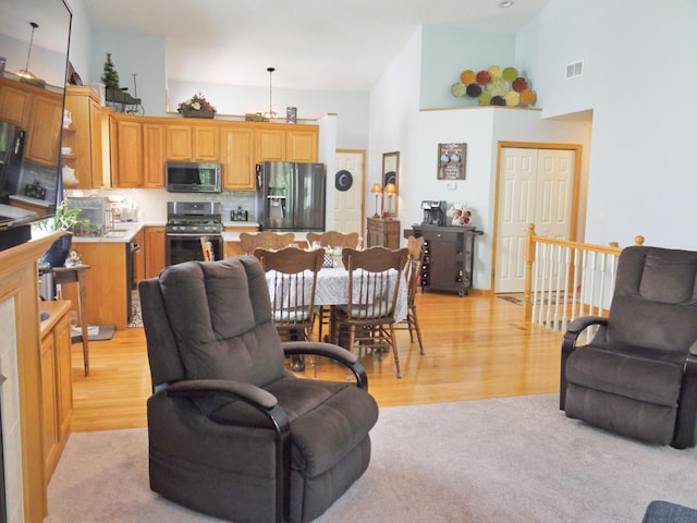 17098 Pheasant Meadow Ln SW, Prior Lake, MN 55372 - living area featuring high vaulted ceiling and light wood finished floors