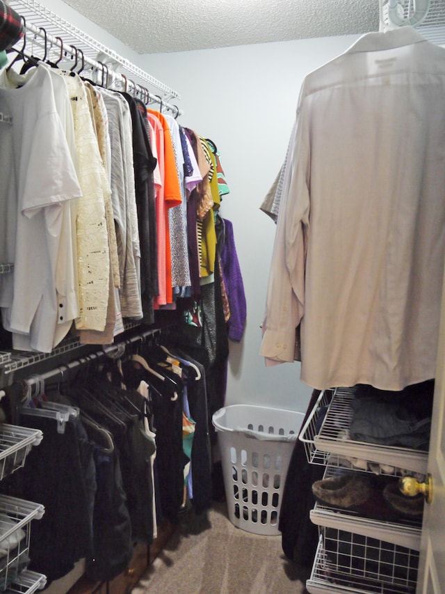 17098 Pheasant Meadow Ln SW, Prior Lake, MN 55372 - view of spacious closet