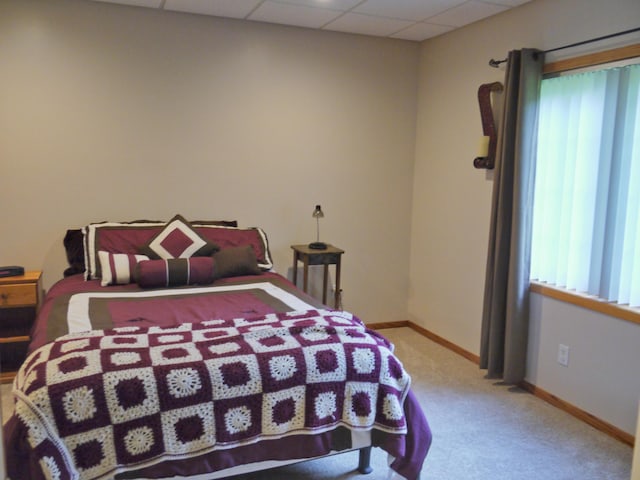 17098 Pheasant Meadow Ln SW, Prior Lake, MN 55372 - bedroom with carpet and a drop ceiling