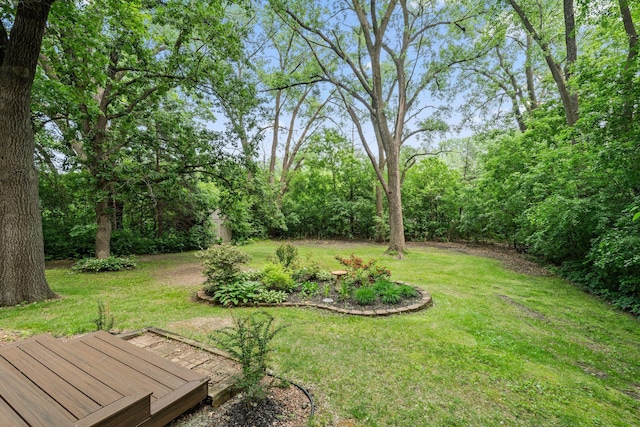 3440 Glenarden Rd, Arden Hills, MN 55112 - view of green lawn