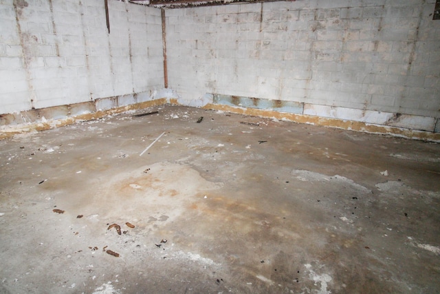 641 Forest Ave, Albany, MN 56307 - unfinished below grade area with concrete block wall