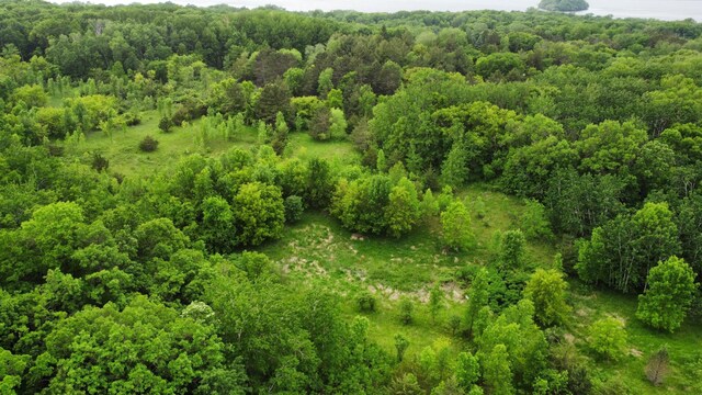 27677 State Highway 55, Paynesville, MN 56362 - photo 3