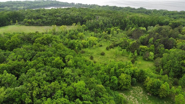 27677 State Highway 55, Paynesville, MN 56362 - photo 4