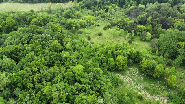 27677 State Highway 55, Paynesville, MN 56362 - photo 5