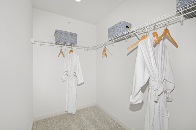 2134 Tyrone Dr, Shakopee, MN 55379 - spacious closet with carpet floors