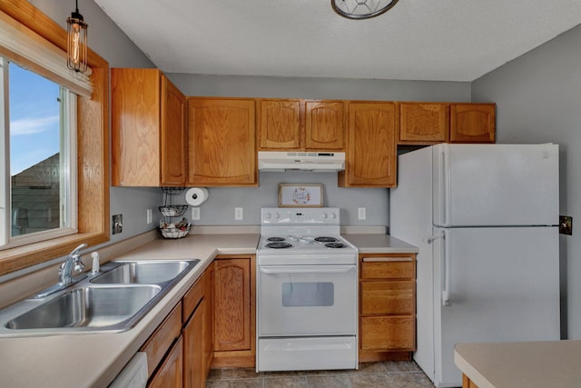 1285 Stone Ridge Rd, Sauk Rapids, MN 56379 - kitchen featuring white appliances, under cabinet range hood, a sink, light countertops, and brown cabinets