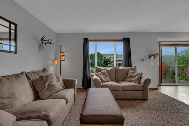 1285 Stone Ridge Rd, Sauk Rapids, MN 56379 - living area featuring baseboards and a textured ceiling