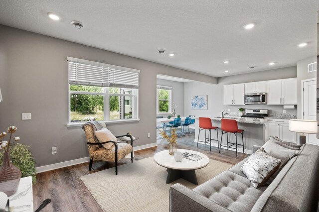 13936 146th Ave N, Dayton, MN 55327 - living room with light wood finished floors and recessed lighting