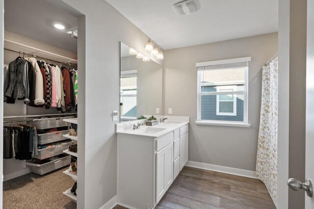 13936 146th Ave N, Dayton, MN 55327 - bathroom featuring double vanity, plenty of natural light, a spacious closet, and wood finished floors