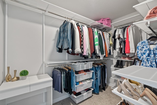 13936 146th Ave N, Dayton, MN 55327 - spacious closet with carpet flooring