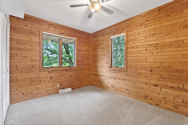 8165 240th St W, Eureka Twp, MN 55044 - carpeted empty room with healthy amount of natural light, ceiling fan, and wood walls