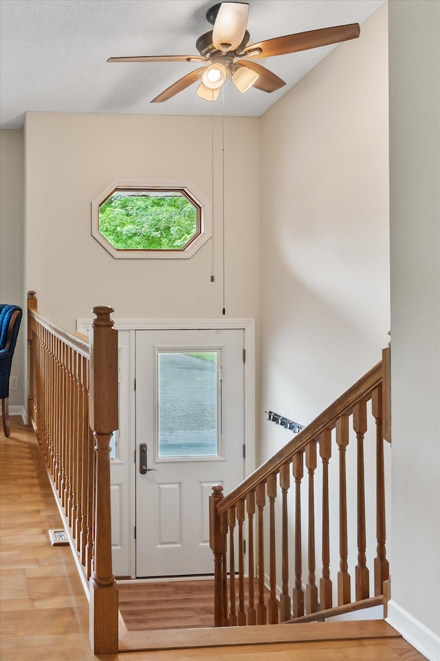 8165 240th St W, Eureka Twp, MN 55044 - entryway featuring plenty of natural light, wood finished floors, ceiling fan, and baseboards