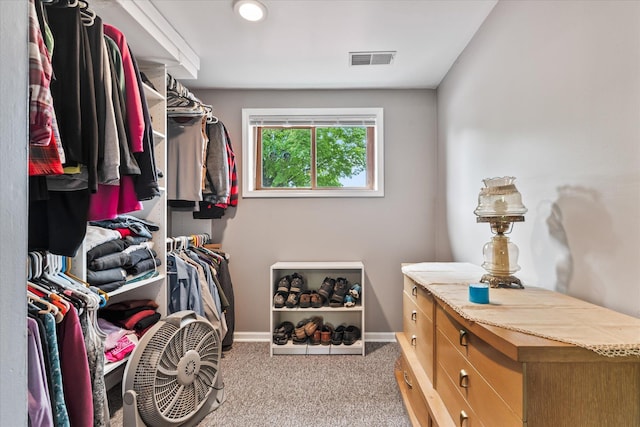8165 240th St W, Eureka Twp, MN 55044 - spacious closet with light carpet