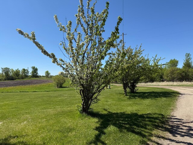 51352 113th Ave, Gonvick, MN 56644 - photo 31