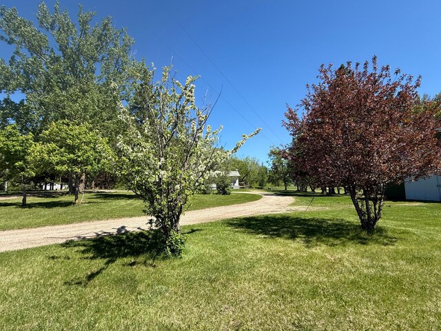 51352 113th Ave, Gonvick, MN 56644 - photo 33