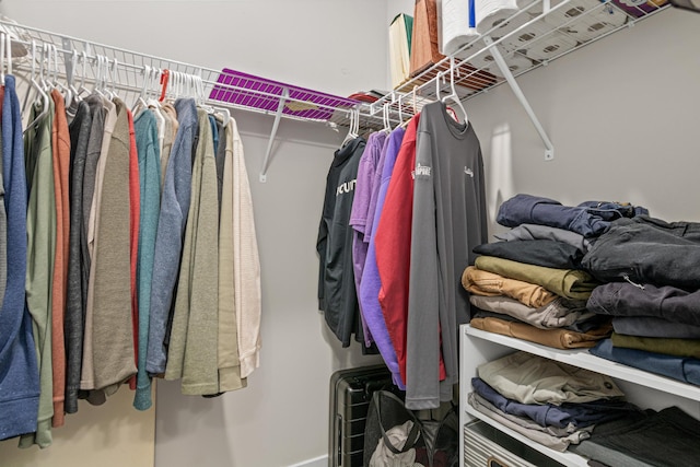 18165 Garland Path, Lakeville, MN 55044 - view of spacious closet