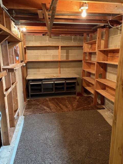455 113th Ave NW, Coon Rapids, MN 55448 - view of storage area