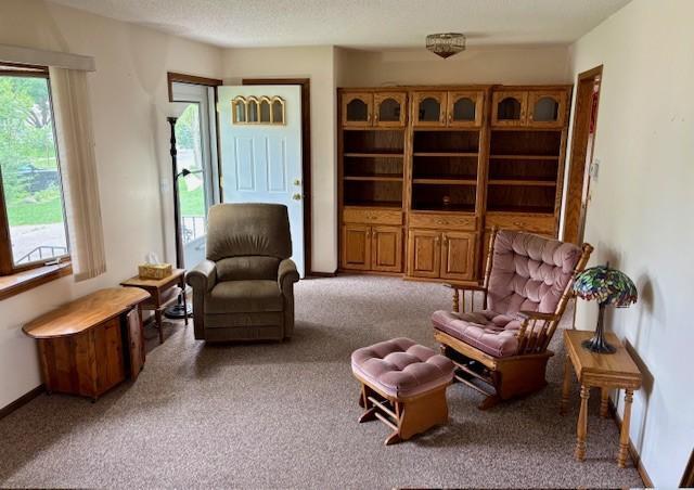 455 113th Ave NW, Coon Rapids, MN 55448 - sitting room with carpet floors and plenty of natural light