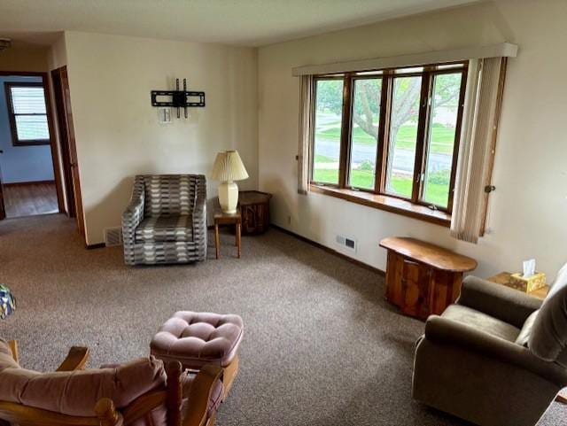 455 113th Ave NW, Coon Rapids, MN 55448 - living area with plenty of natural light, carpet floors, and baseboards