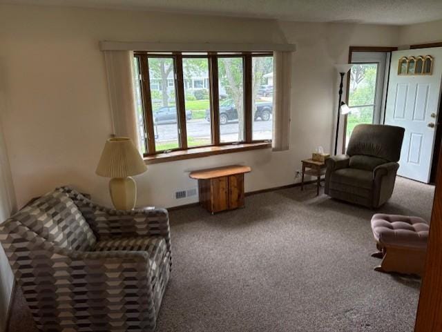 455 113th Ave NW, Coon Rapids, MN 55448 - living area with carpet and baseboards